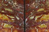 Tall, Red And Yellow Jasper Bookends - Marston Ranch, Oregon #145345-1